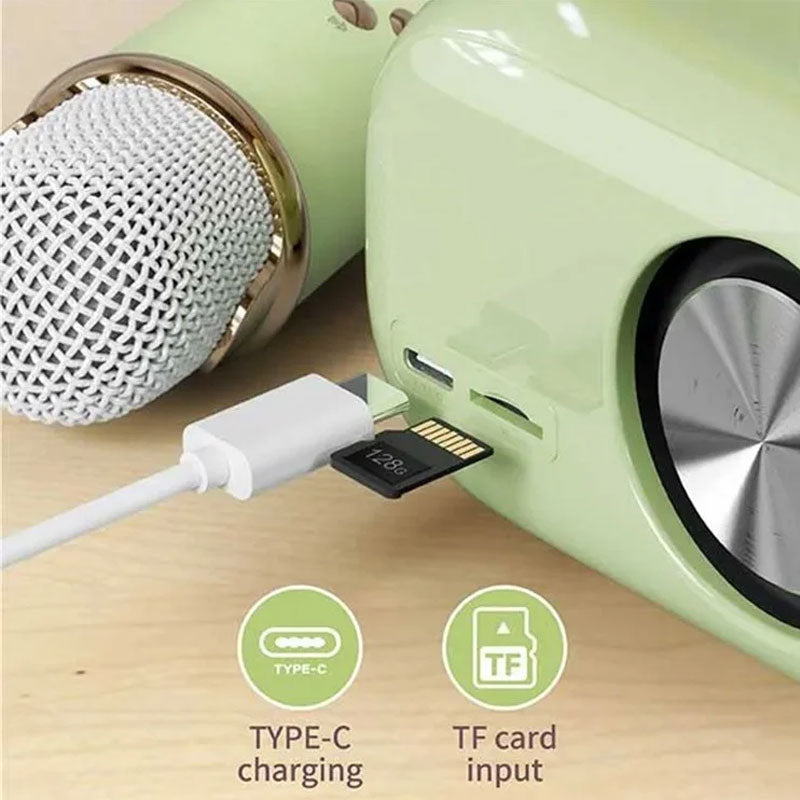 Wireless Bluetooth Karaoke Speaker